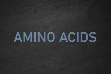 Text Amino Acids on black slate surface