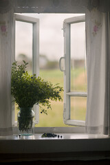 blueberry bush in the window © Наталия Дударева