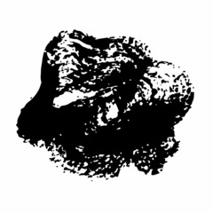 Vector Abstract Brush Hand Drawn Texture in Black Color Sketch Simple Pattern isolated on White Background Stroke Shape