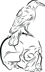 skull with raven vector illustration