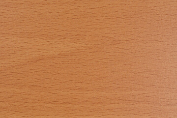 texturas de madera de haya color miel claro 