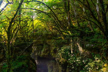 MARTVILI, GEORGIA: Fabulous and mystical landscape in the Martvili Canyon on a summer day.