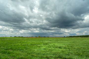 Green large meadow and cloudy sky, summer day