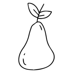 Vector pear sketch.