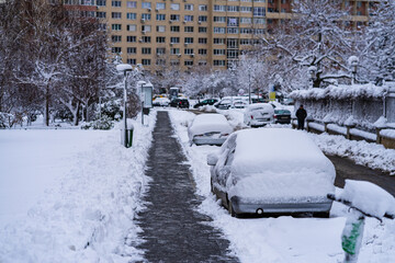 Perfectly shaped snow, snowy environment in the morning. Winter concept, frozen and snow covered...