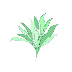 leaf, plant, nature, tree, green, leaves, branch, isolated,