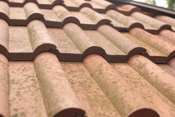 Old roof tile 