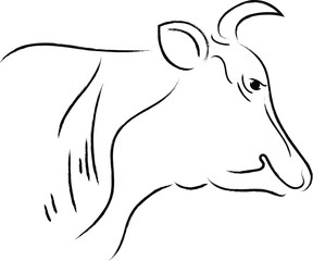 cow, animal, cartoon, farm, vector, illustration, bull,