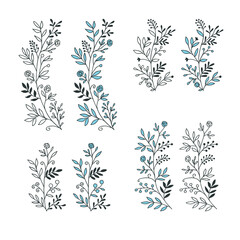 Collection of cute hand drawn floral branches. Vector illustration.	