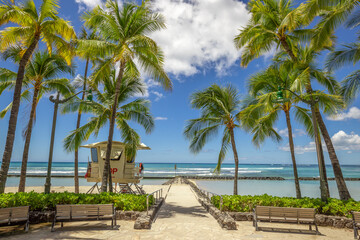 Fototapeta na wymiar Waikiki beach palm trees in Hawaii