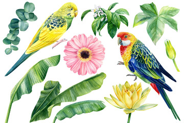Ensemble de perroquets d& 39 oiseaux aquarelles, de fleurs et de feuilles de palmier isolés sur fond blanc, illustrations botaniques