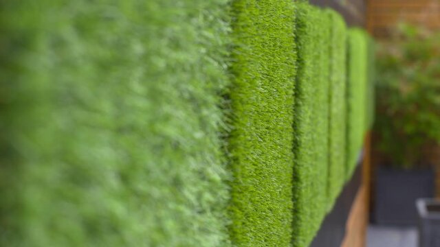 Synthetic grass samples close up focus foreground background