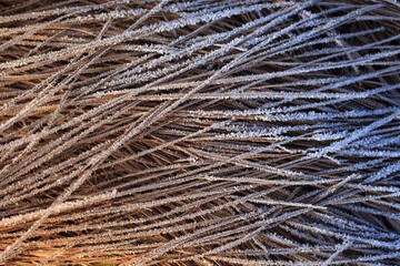 A texture created by nature.