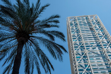 Fototapeta na wymiar Palm tree and a futuristic building in Barcelona