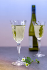 Tasting of white dry German riesling wine from Mosel river valley