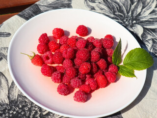 Plate with wild raspberries on a table outdoors