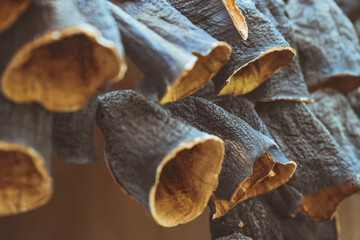 close up of a pile of dried mushrooms