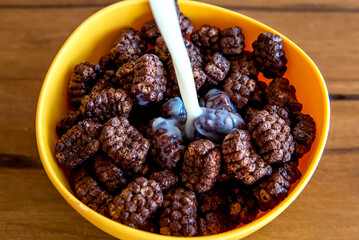 Pouring milk into chocolate cornflakes balls Breakfast with milk and cornflakes.