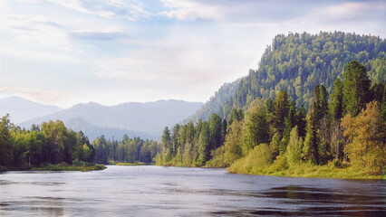 Altay river Biya in Russia with forest and mountains