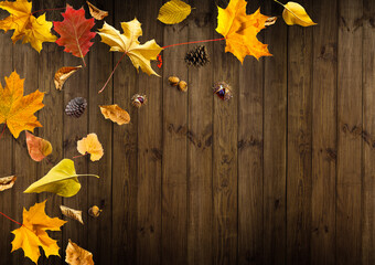 Obraz premium Autumn Sale banner background with leaves