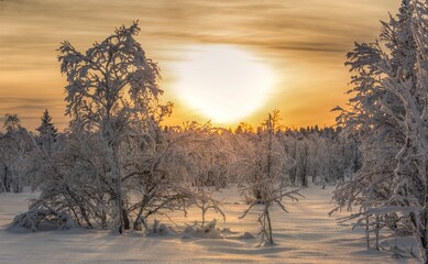 Obraz premium Winter landscape in Swedish Lappland