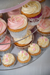 Cupcakes on a stand in the shape of a big cake for a Wedding reception