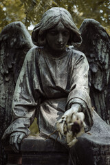 Fototapeta na wymiar statue of angel at the cemetery