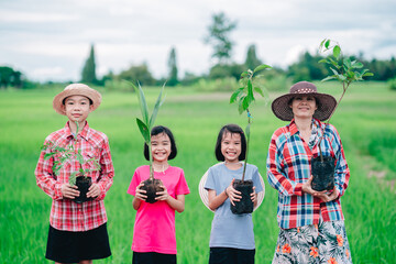 Happy family people holding seeding of tree for planting to garden on organic green rice field...