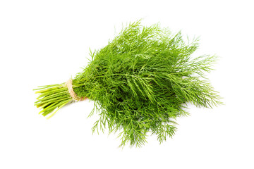 bunch of fresh dill herb isolated on white background