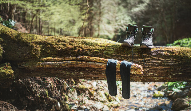 Pair of high trekking high-top boot drying up with wet socks on the felled over forest creek tree under the warm autumn sun. Active people in Nature concept image.