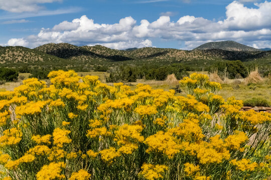 Fall day in Santa Fe, New Mexico, United States.