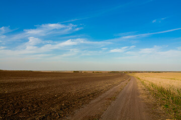 Naklejka premium road in the field with clouds