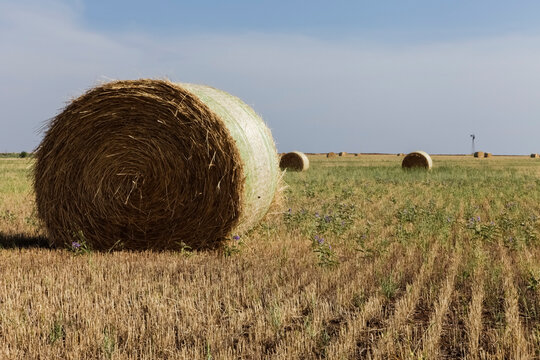 Bales of hay in the middle of a field in Erick, Oklahoma, USA. Route 66