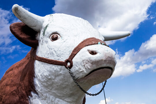 Vintage giant bull head on Route 66.