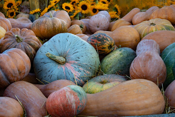 autumn pumpkins on a wooden thanksgiving table outdoor farmers market