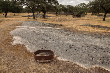 Landscape with what looks like an old animal feeder.