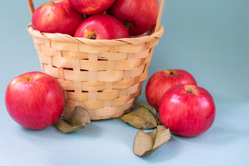 Ripe raw mature red apples on blue background, close up. Organic seasonal fruits