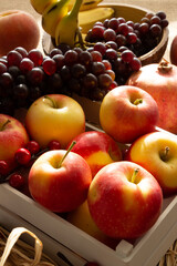 assorted fruits, assorted fruits in bow