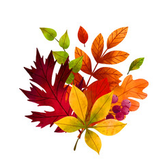 Fall leaves, hand drawn vector watercolor illustration