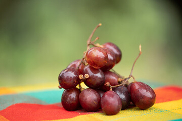 Organic mountain grapes, homemade bread and apples from the Sierra de Sinaloa