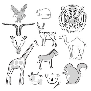 vector drawing graphic element of animal and bird in black and white icon. minimal illustration animal theme art set.
