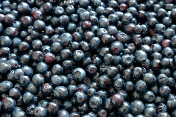 Fresh peeled blueberries. Lots of juicy blueberries