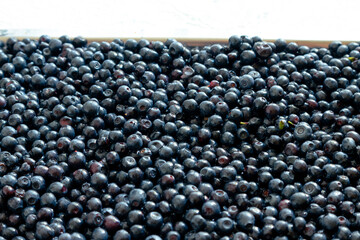 Fresh peeled blueberries. Lots of juicy blueberries