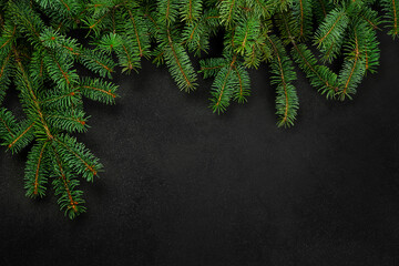 Christmas postcard, fir branches on a black background.
New Year