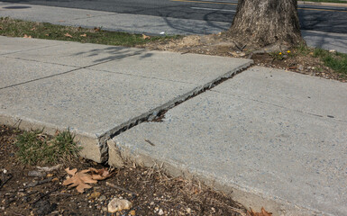 Uneven sidewalk and crack caused by growing tree roots, an urban issue causing people tripping and...