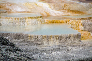 thermal springs and limestone formations at mammoth hot springs in Wyoming in America