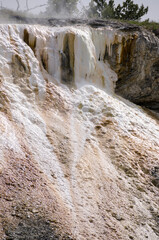 Fototapeta na wymiar thermal springs and limestone formations at mammoth hot springs in Wyoming in America
