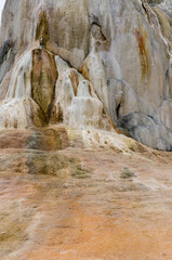 thermal springs and limestone formations at mammoth hot springs in Wyoming in America
