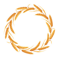 Circle of ears of ripe cereals. Vector illustration isolated on white background.