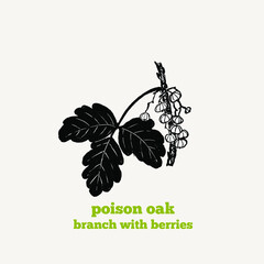 illustration of branch of Poison oak plant with leaves and berries in retro black and white linocut style.